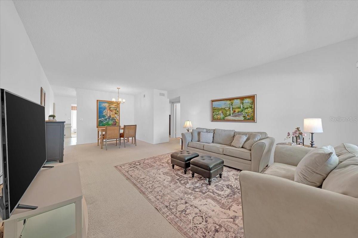 2401 FRANCISCAN DR #41
