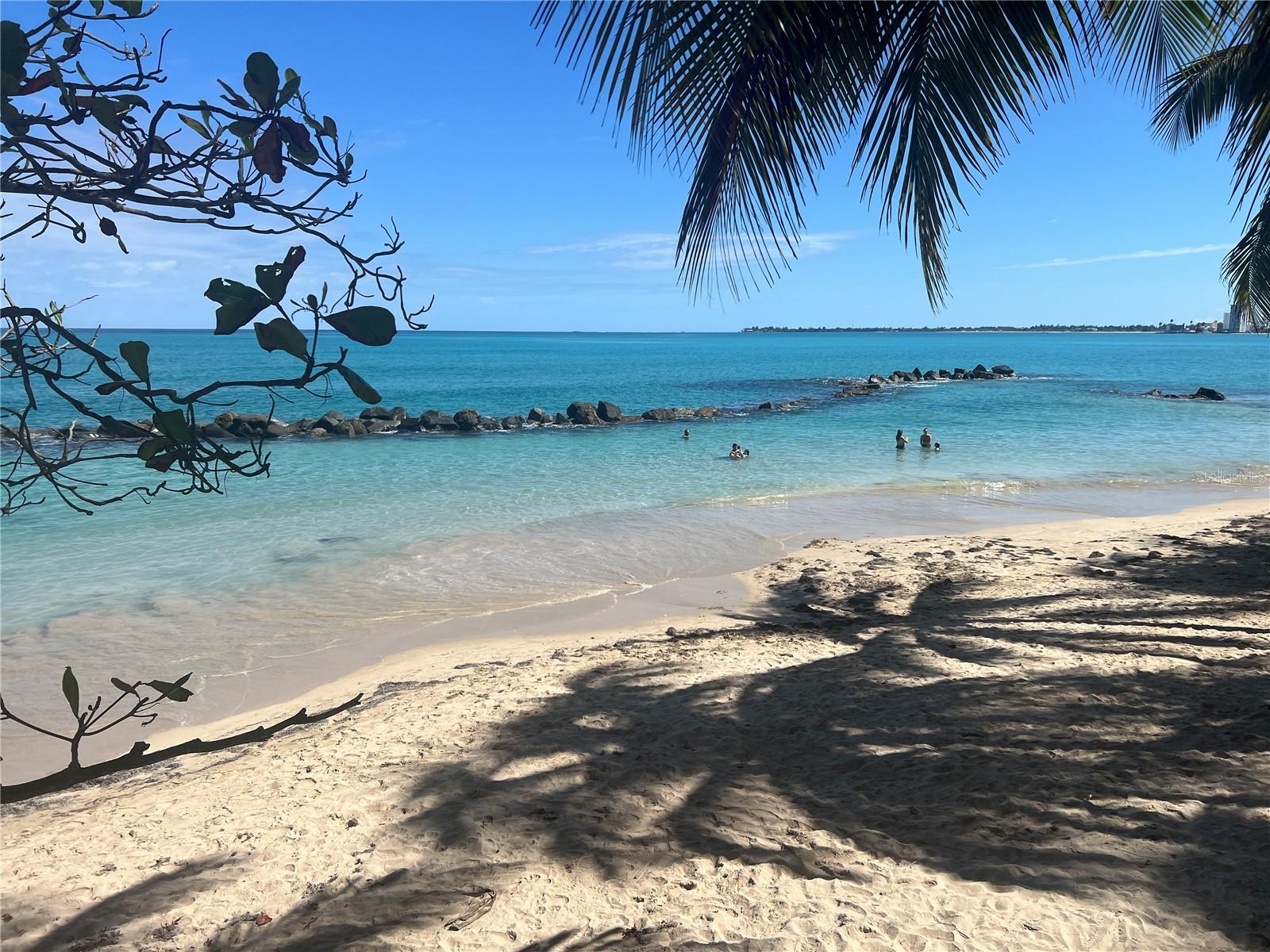 3205 ISLA VERDE AVE #1308