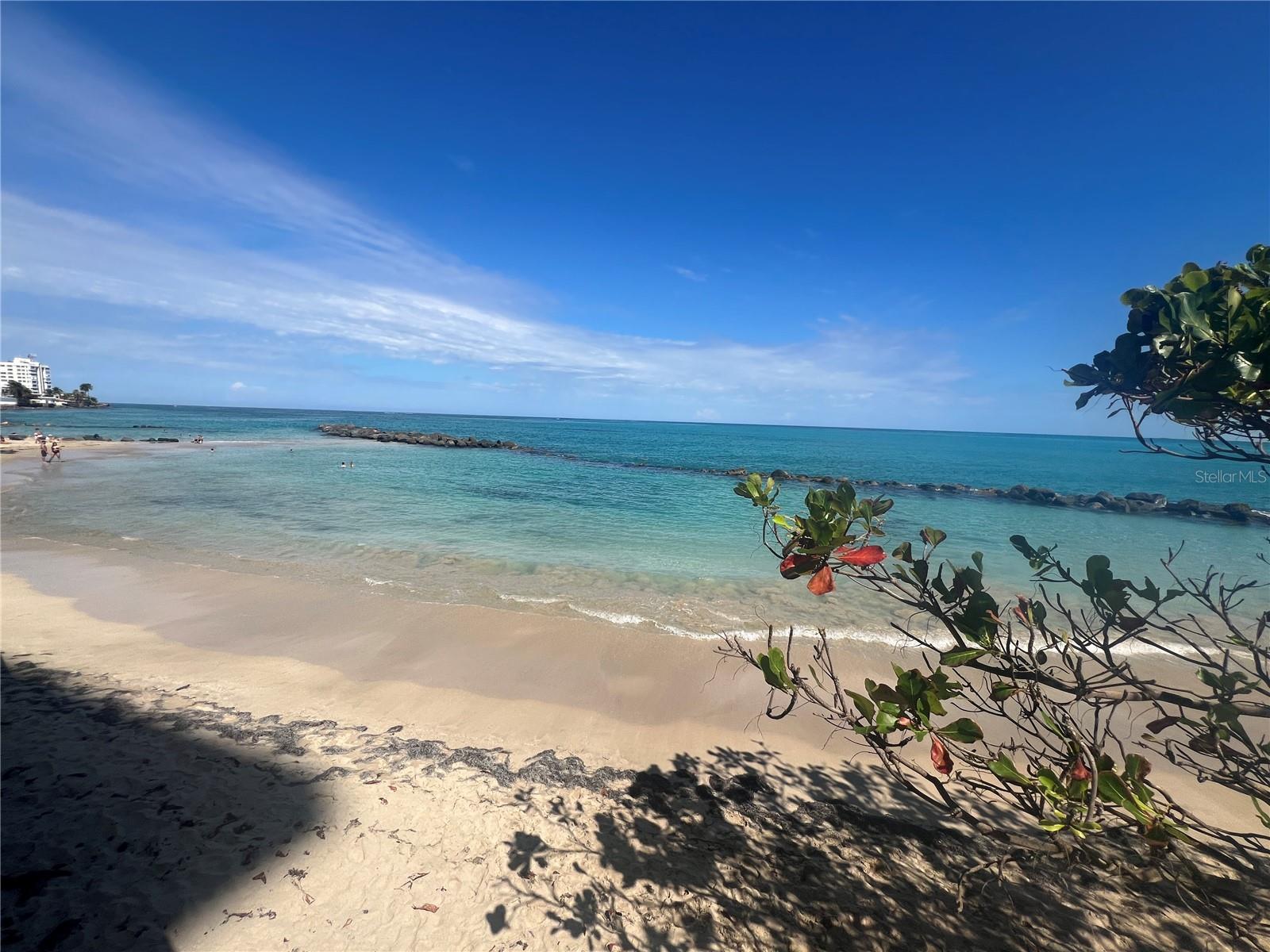 3205 ISLA VERDE AVE #1308