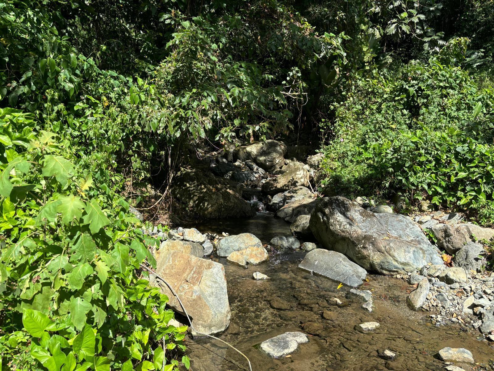 31 INT 950 KM.HM 9.7 BO RIO BLANCO