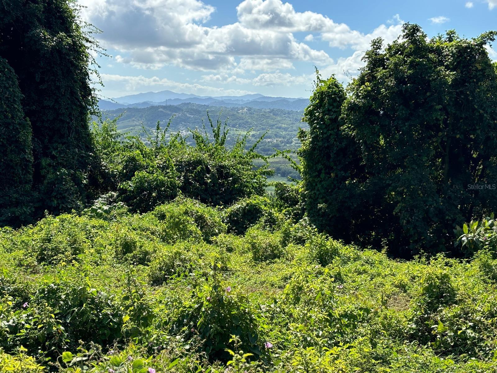 31 INT 950 KM.HM 9.7 BO RIO BLANCO