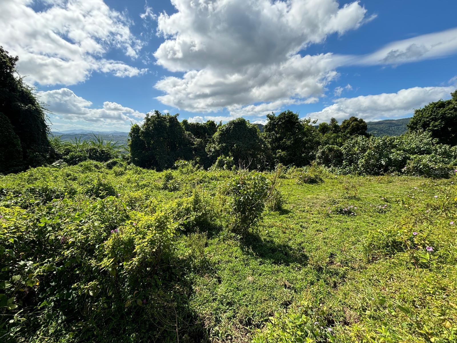 31 INT 950 KM.HM 9.7 BO RIO BLANCO