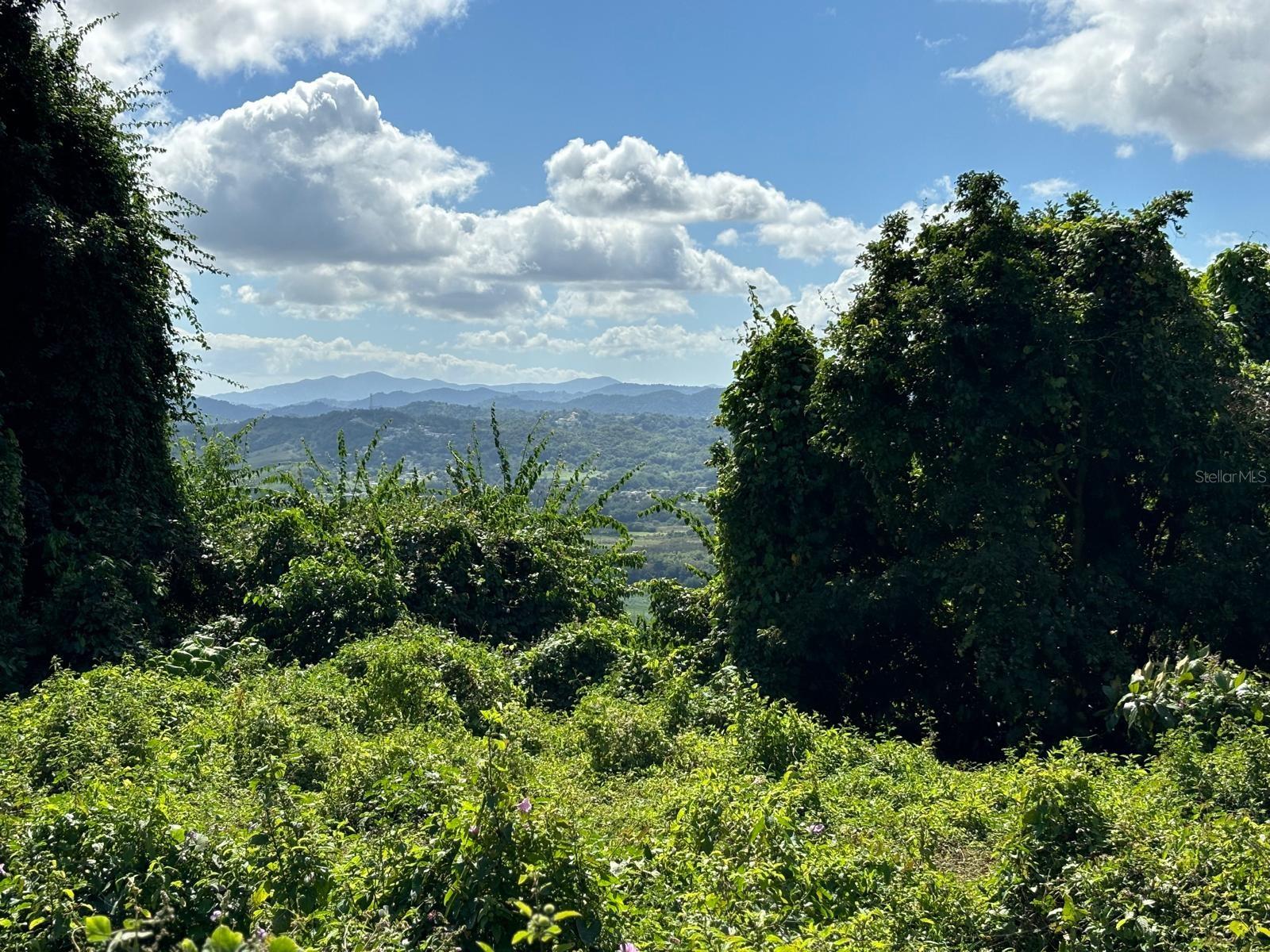 31 INT 950 KM.HM 9.7 BO RIO BLANCO