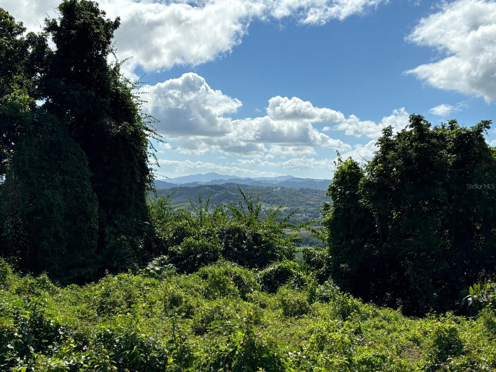 31 INT 950 KM.HM 9.7 BO RIO BLANCO