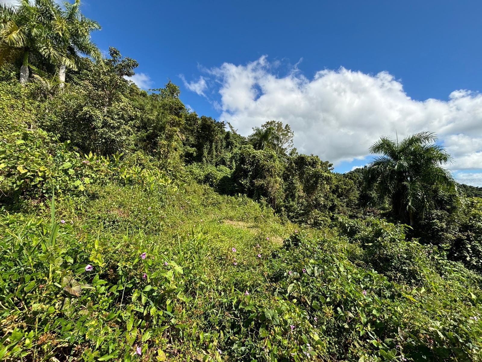 31 INT 950 KM.HM 9.7 BO RIO BLANCO