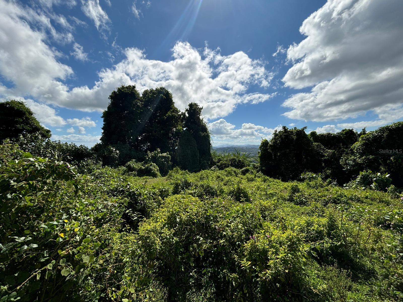 31 INT 950 KM.HM 9.7 BO RIO BLANCO