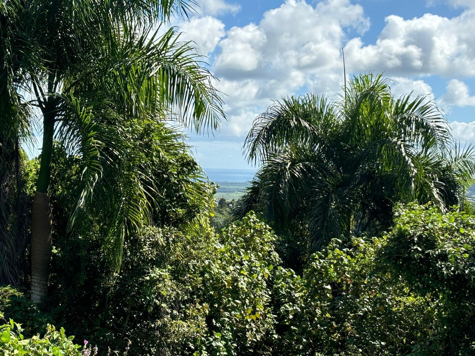 31 INT 950 KM.HM 9.7 BO RIO BLANCO