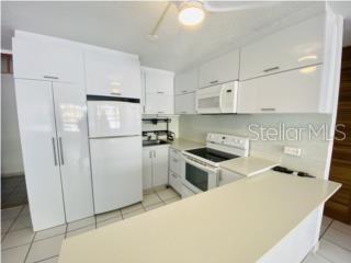 4123 ISLA VERDE AVE. #1001