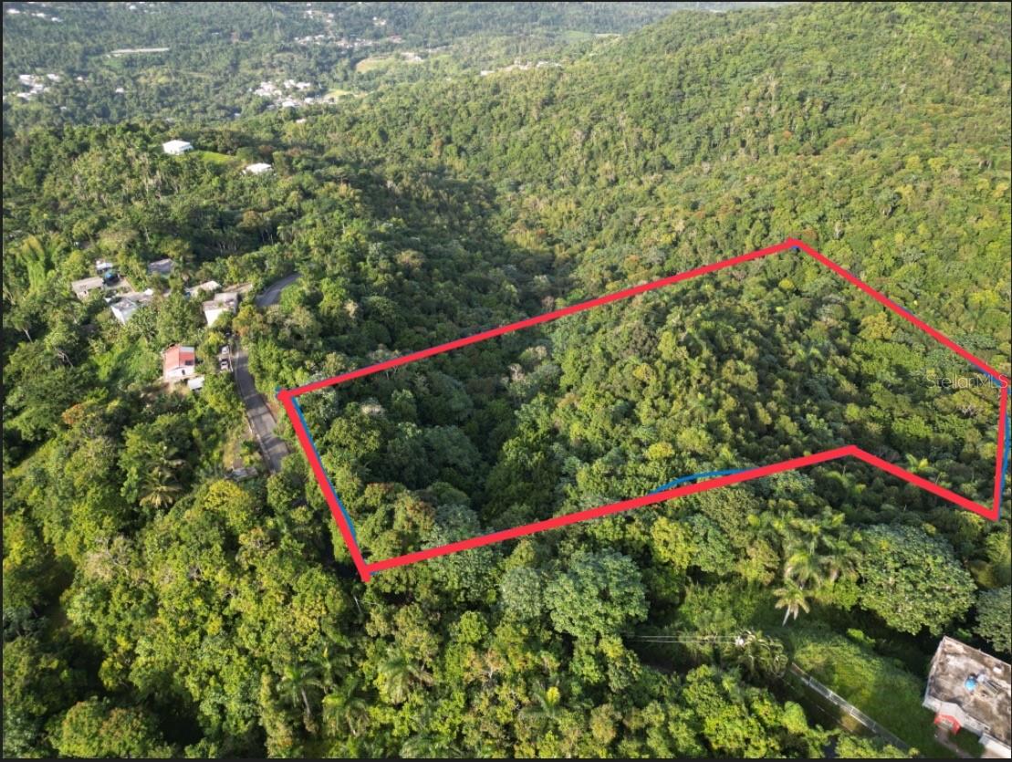 BO CAGUITAS , CARR 785 KM.HM 4.2