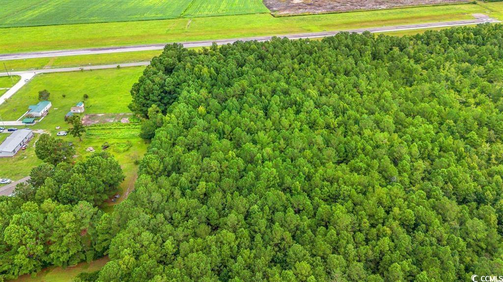 TBD Trotters Ridge Rd.