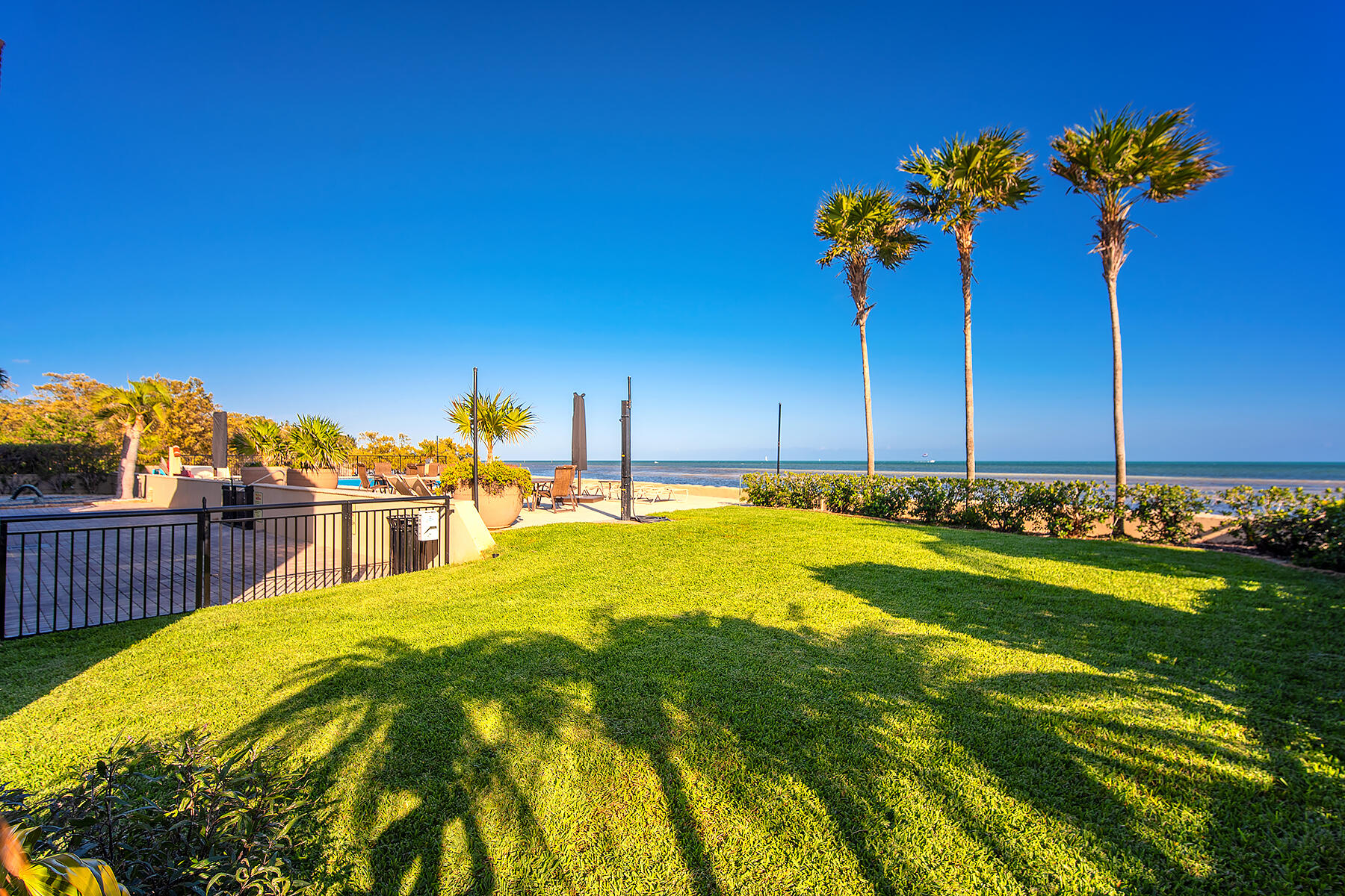 1616 Atlantic Boulevard Unit: 5