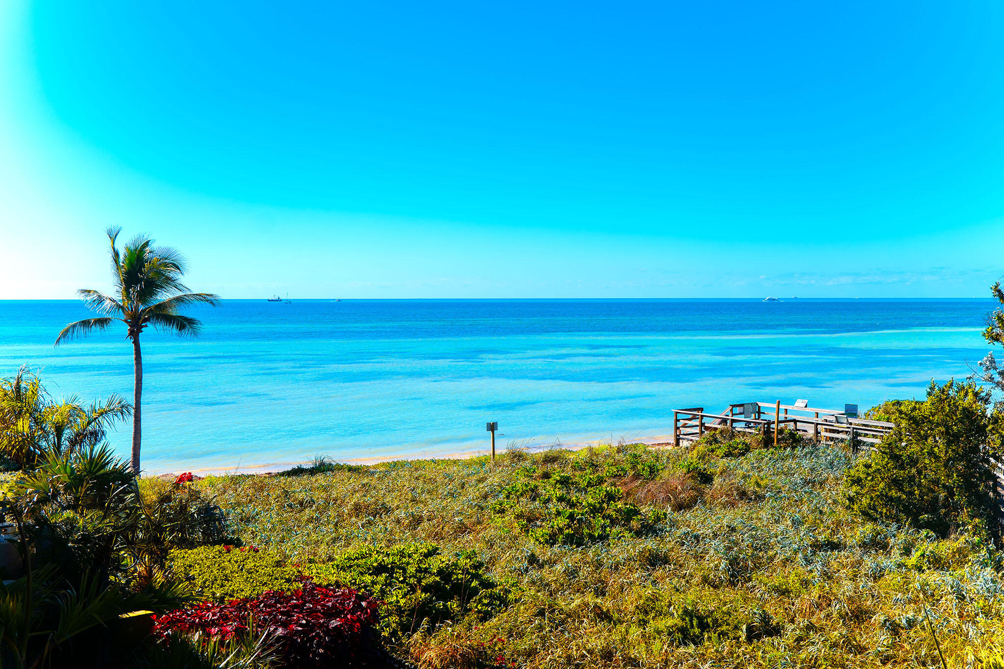1616 Atlantic Boulevard Unit: 6