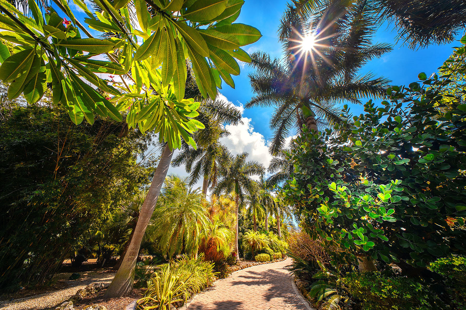 1151 Ocean Drive