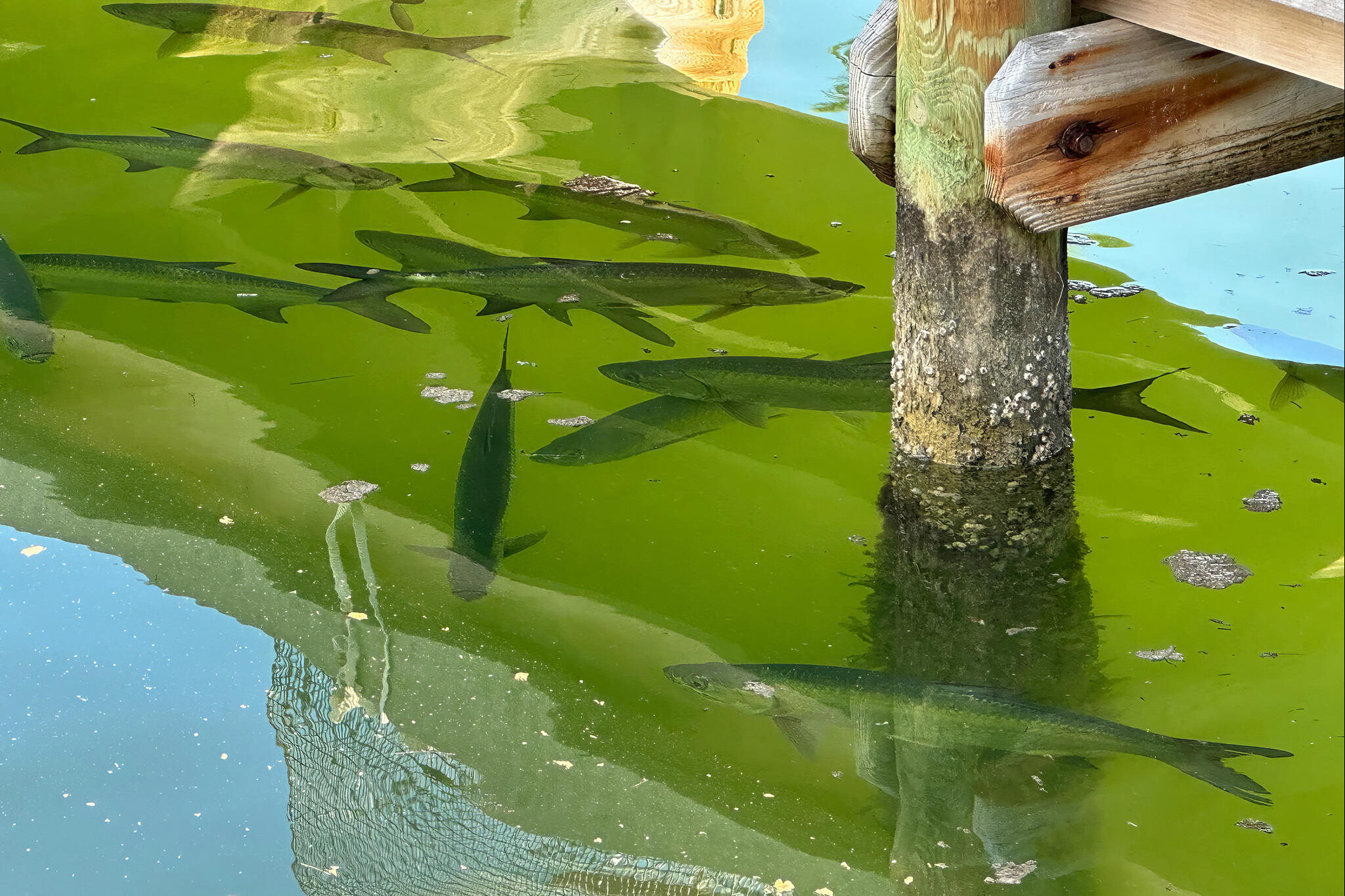 16750 Old State Road 4A