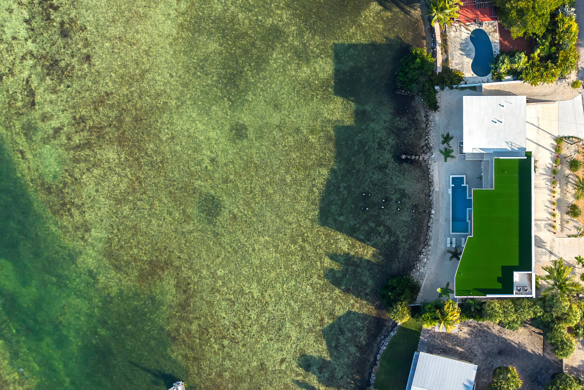 1041 E Buttonwood Drive