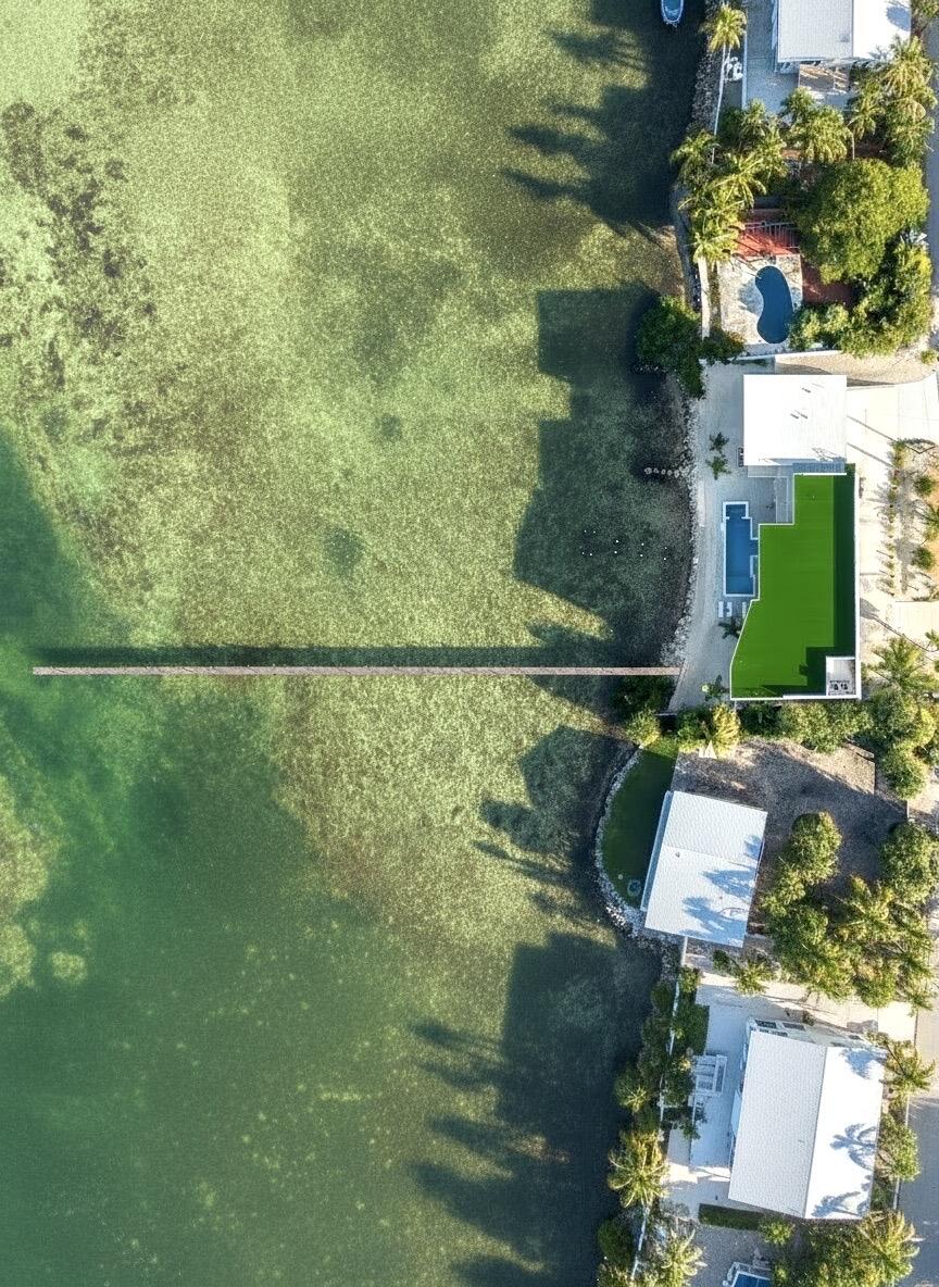 1041 E Buttonwood Drive