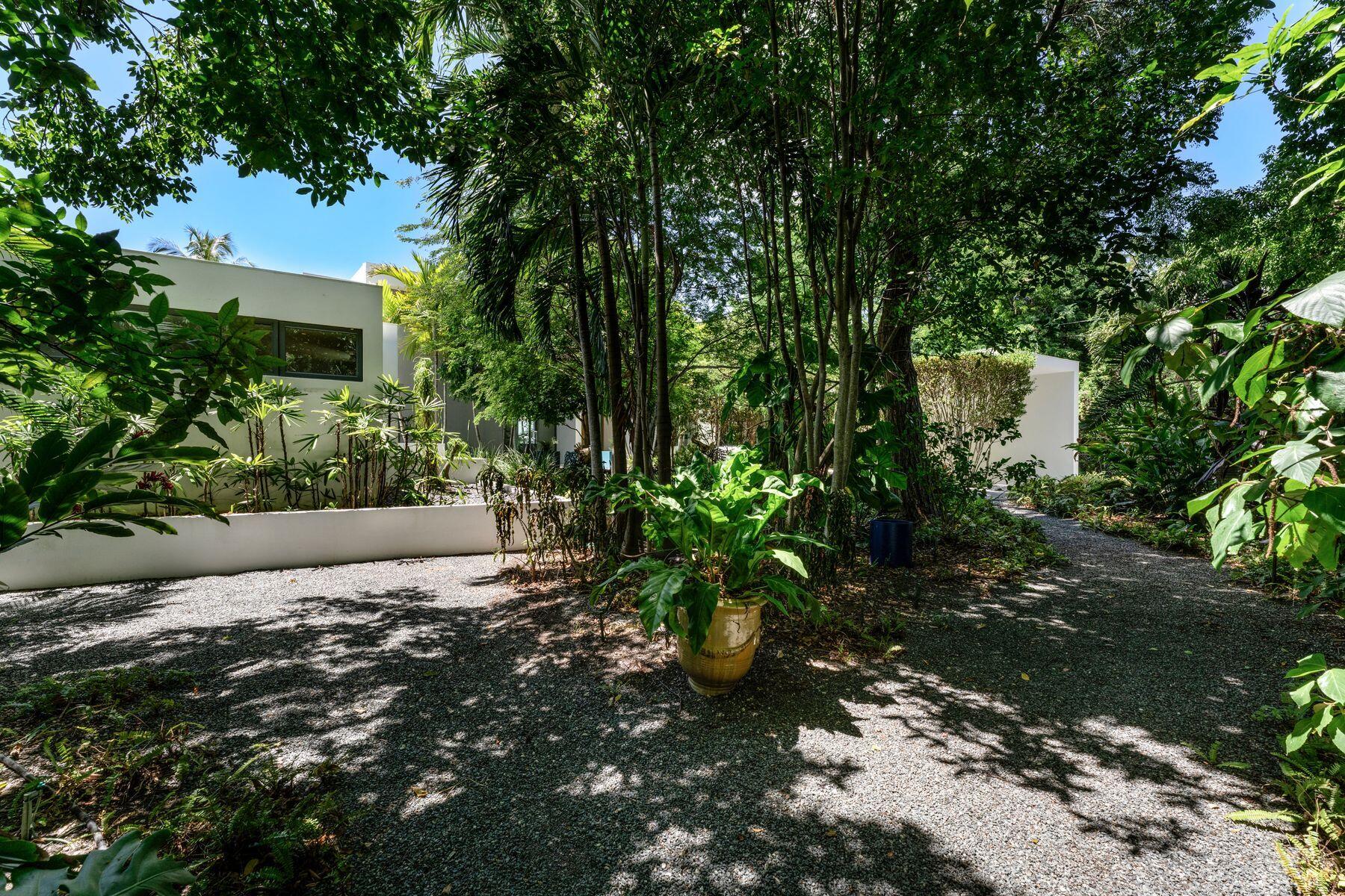 19 Avacado Street