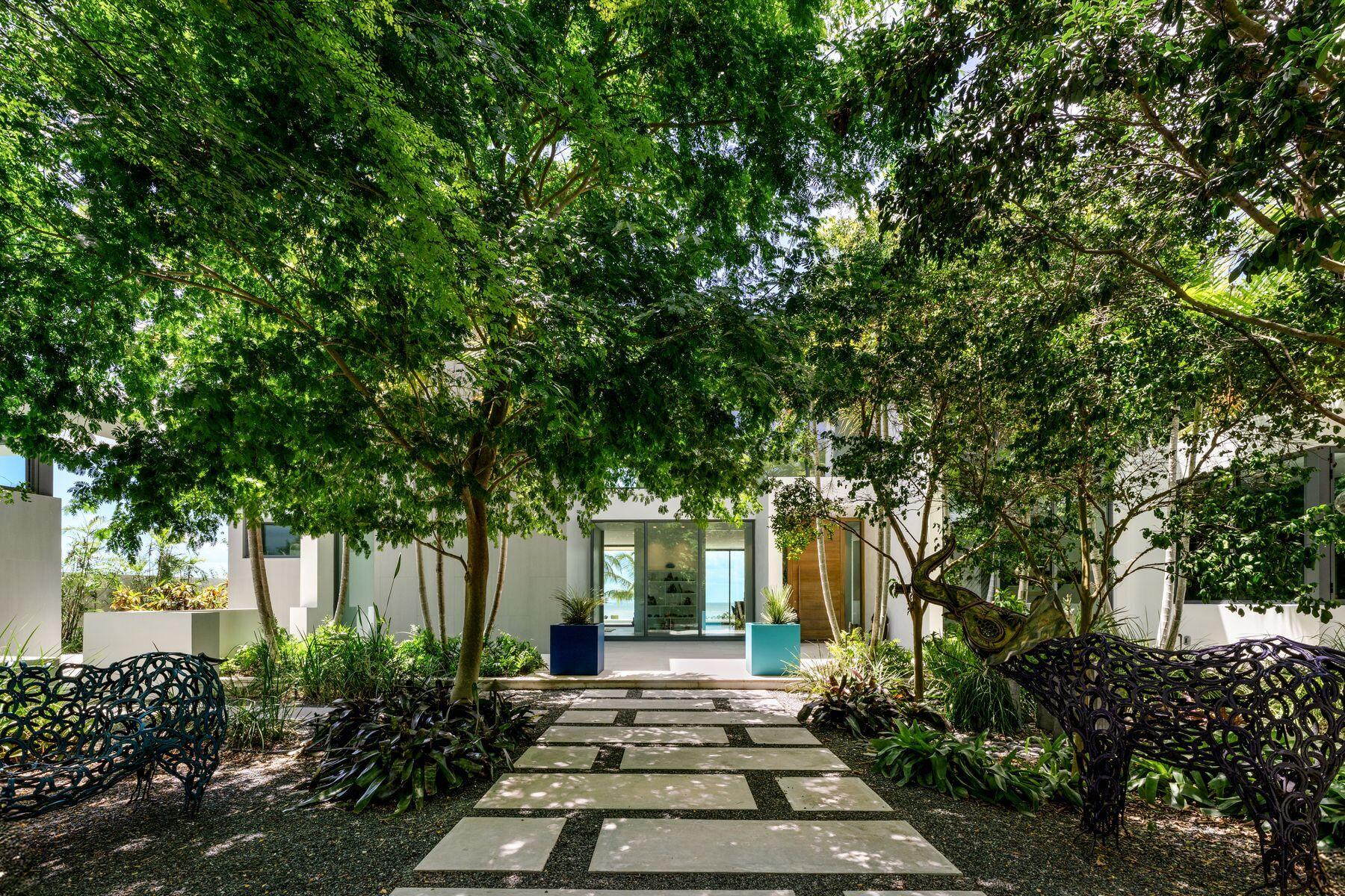 19 Avacado Street
