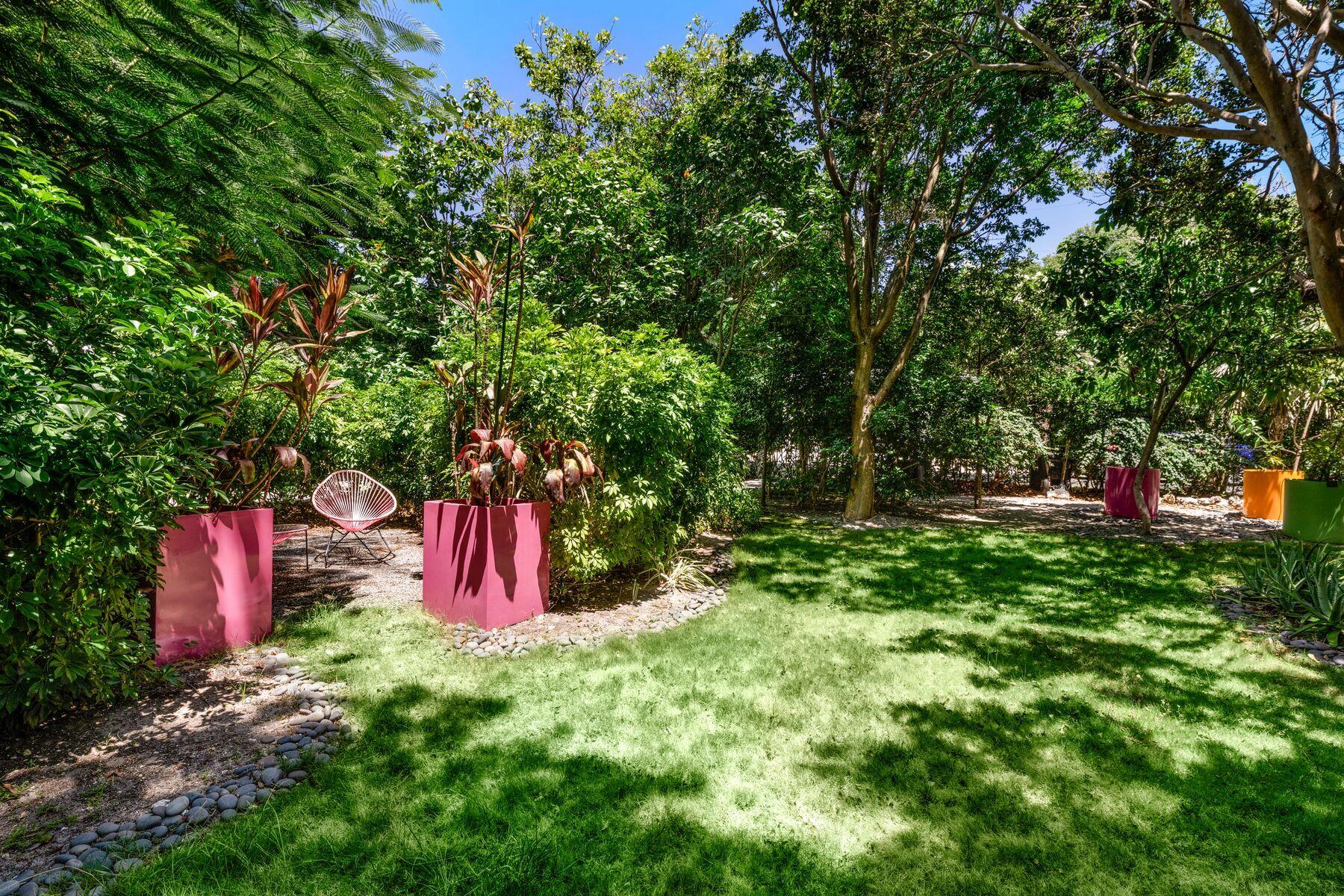 19 Avacado Street