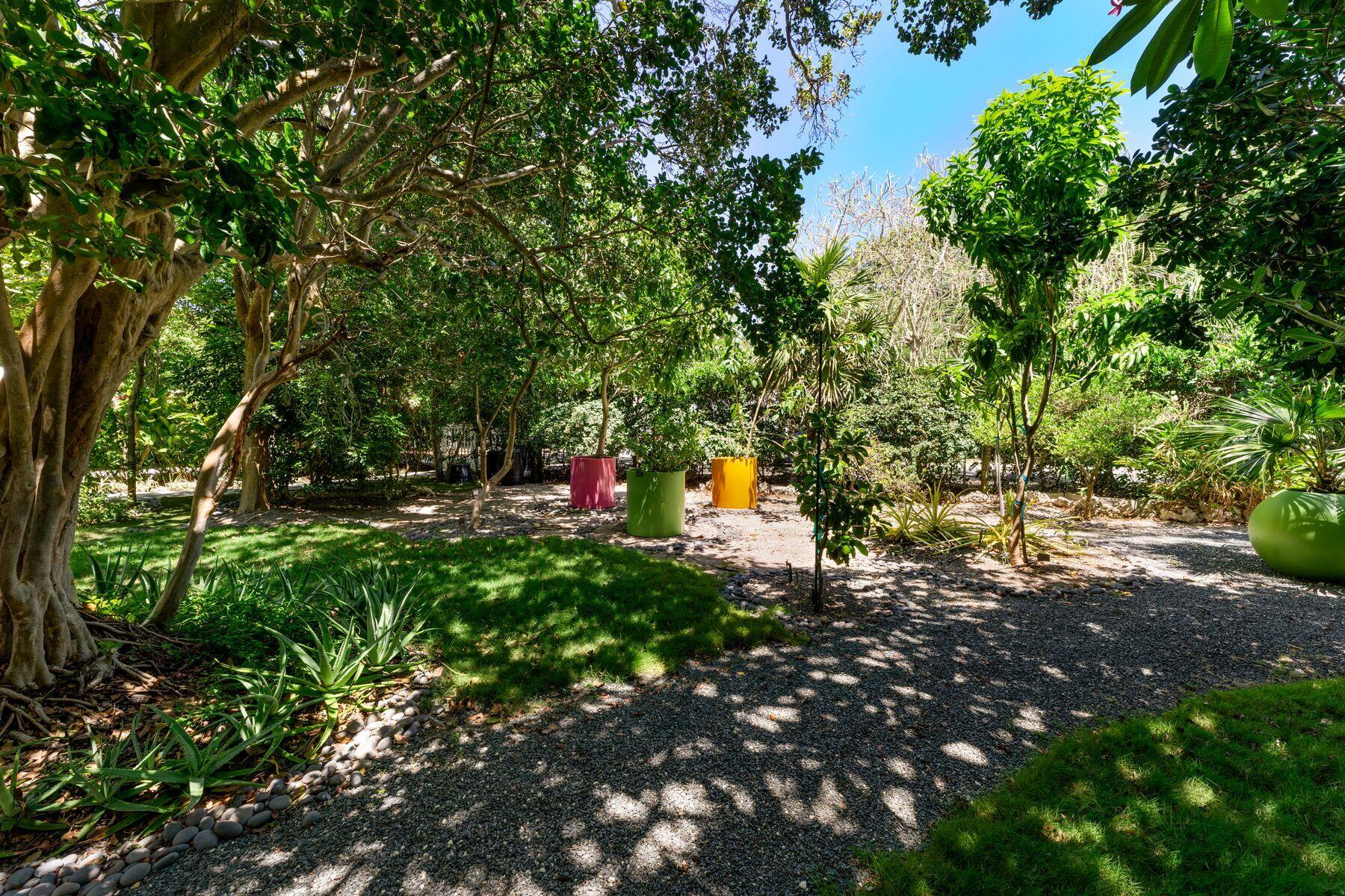19 Avacado Street