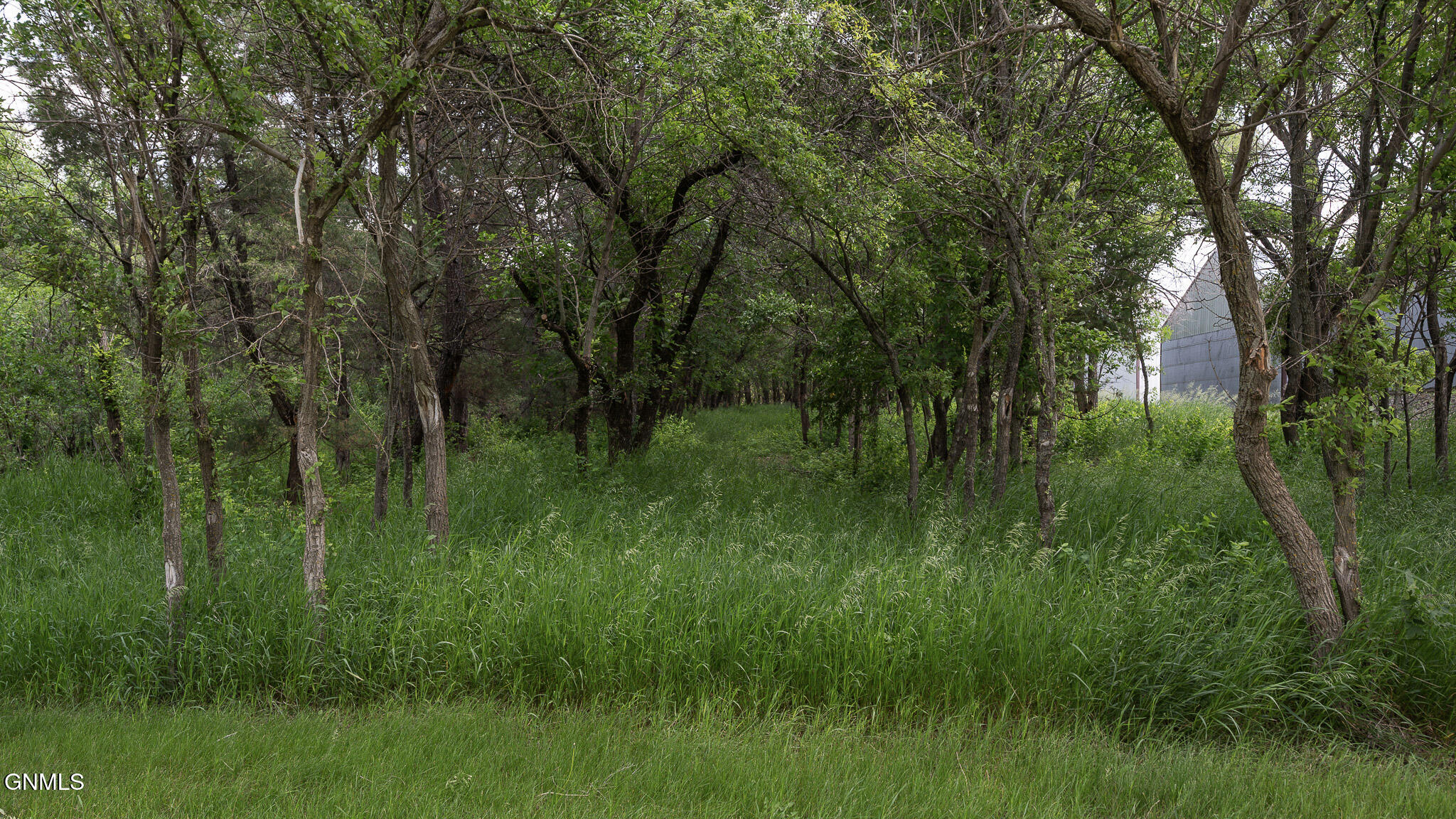 3145 County Road, A