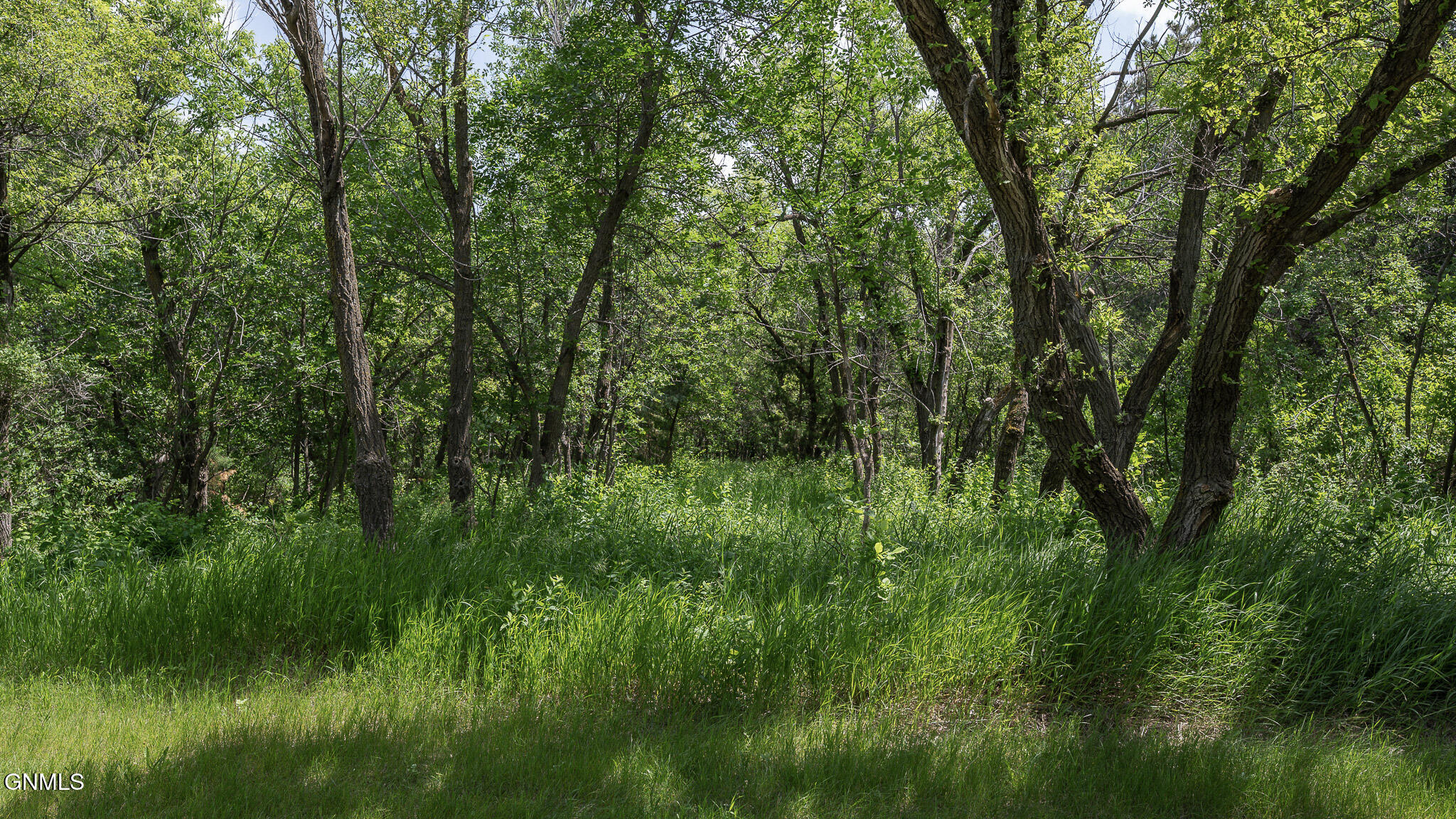 3145 County Road, A