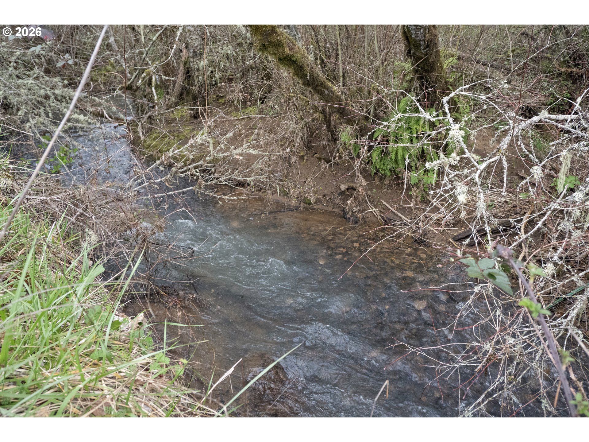 26630 SW THOMSON MILL RD