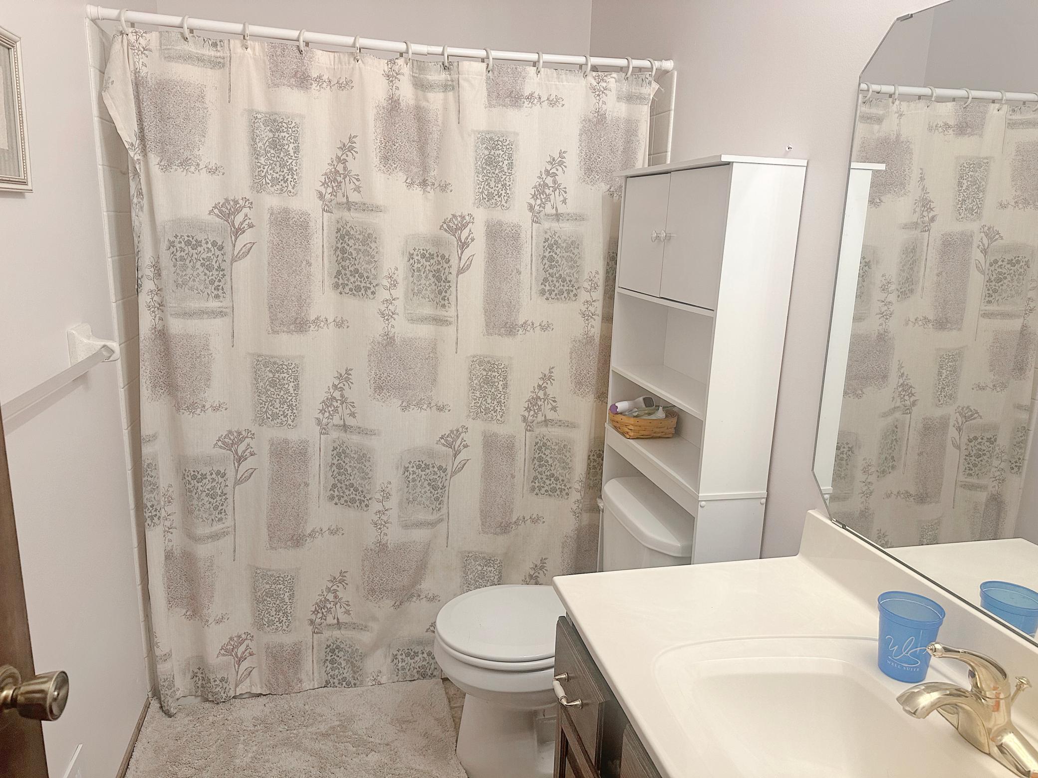 1971 Timber Wolf Trail S