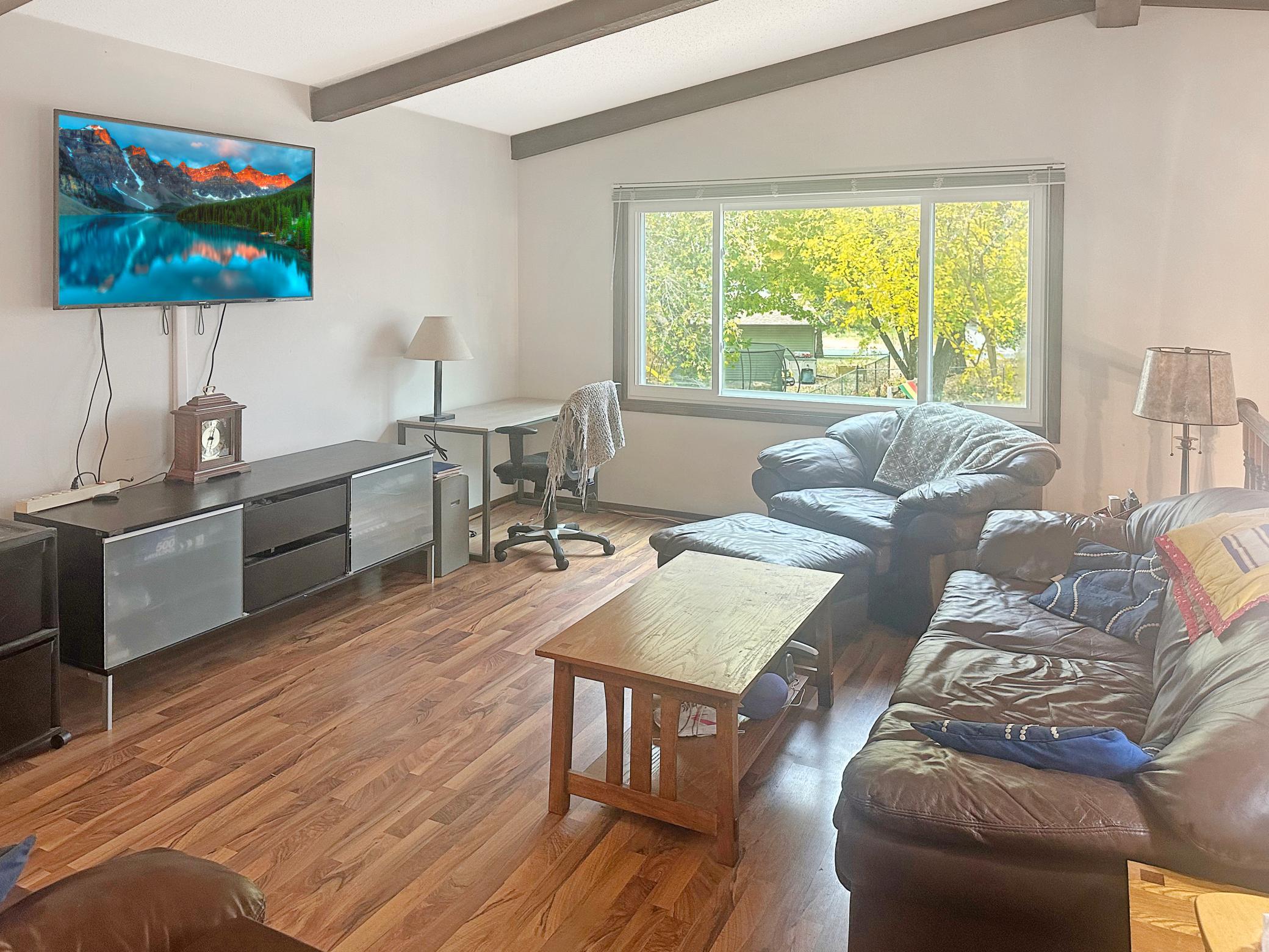 1971 Timber Wolf Trail S