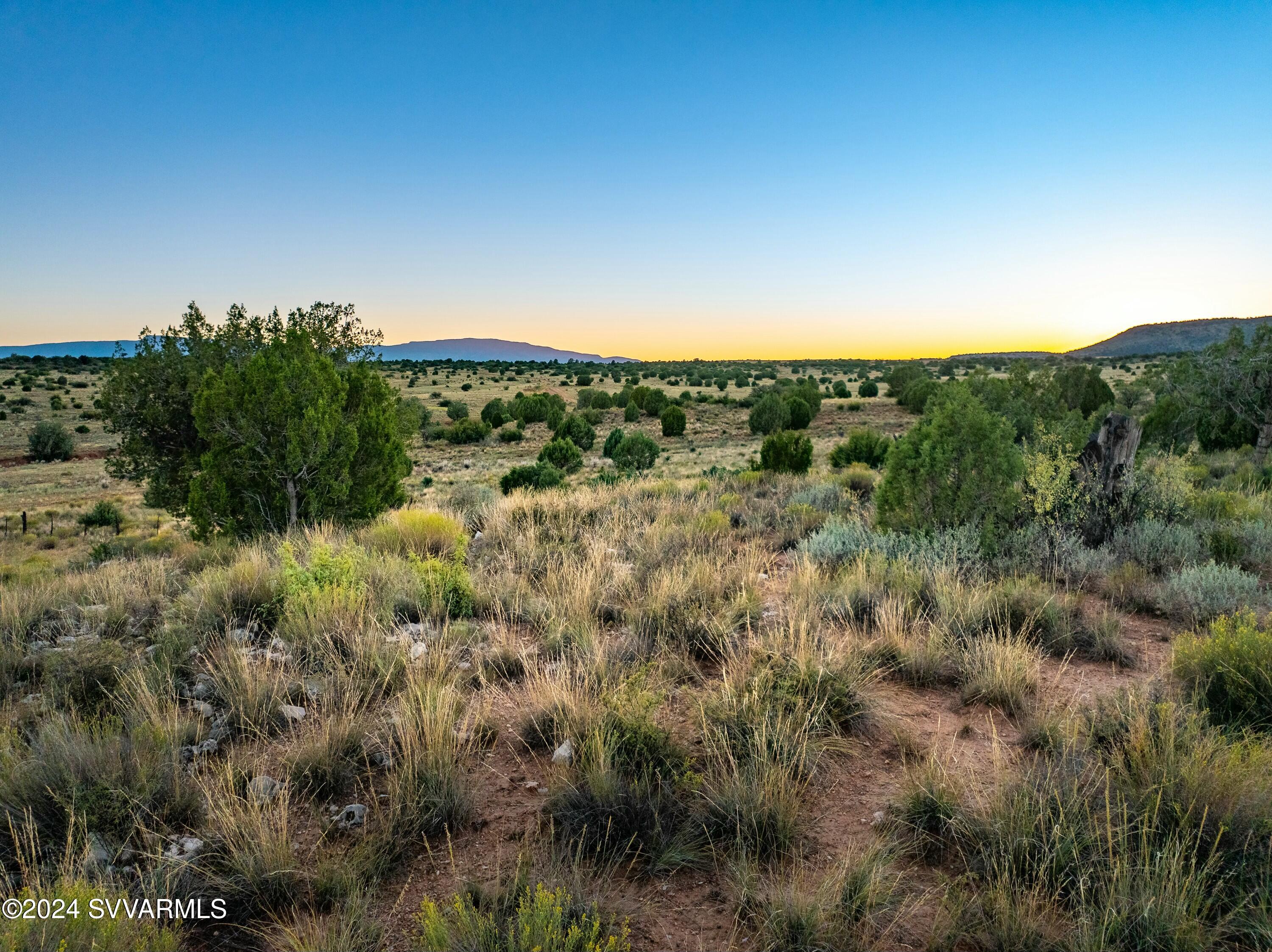 555 Sacred Forest Lane