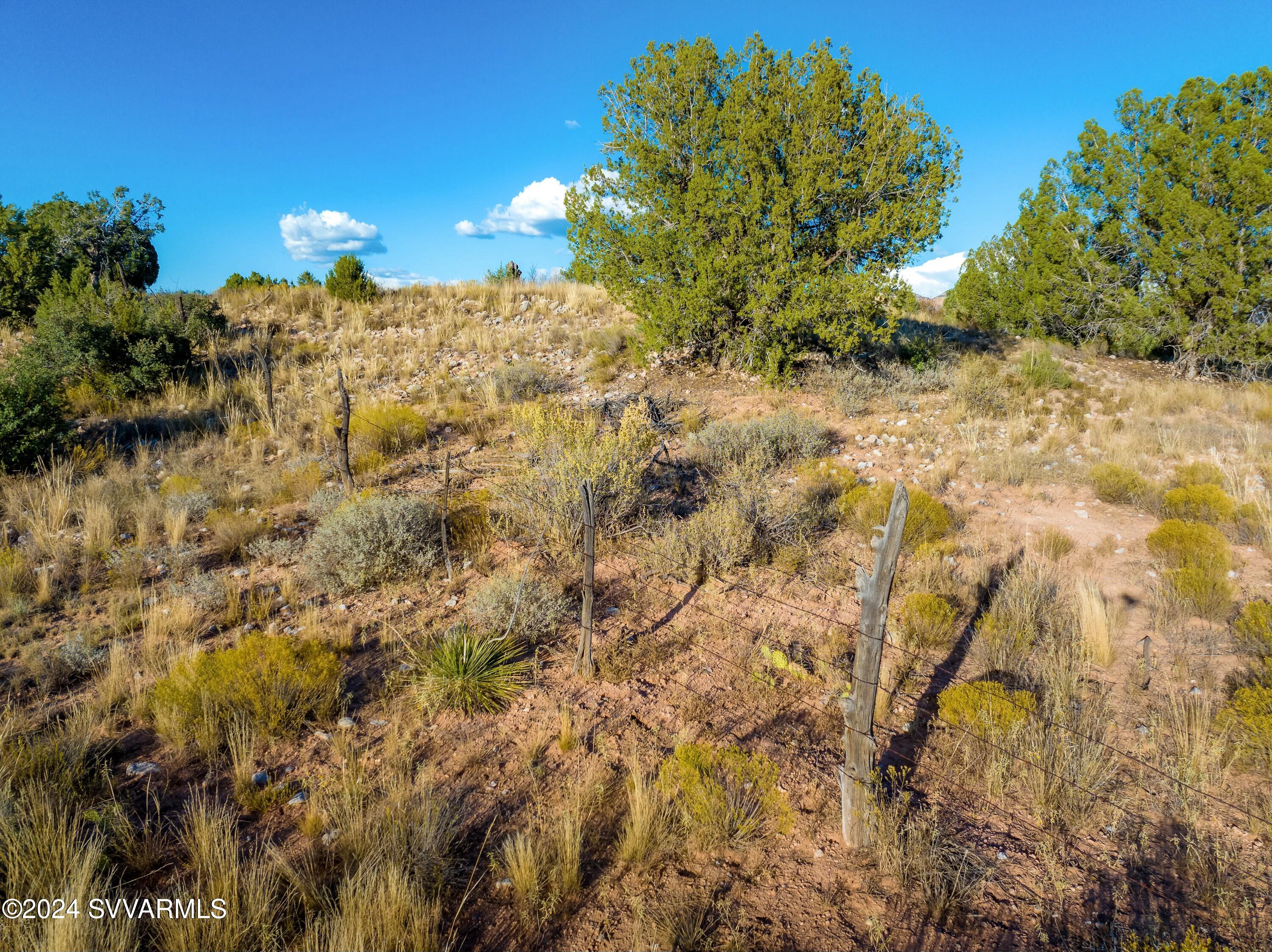 555 Sacred Forest Lane