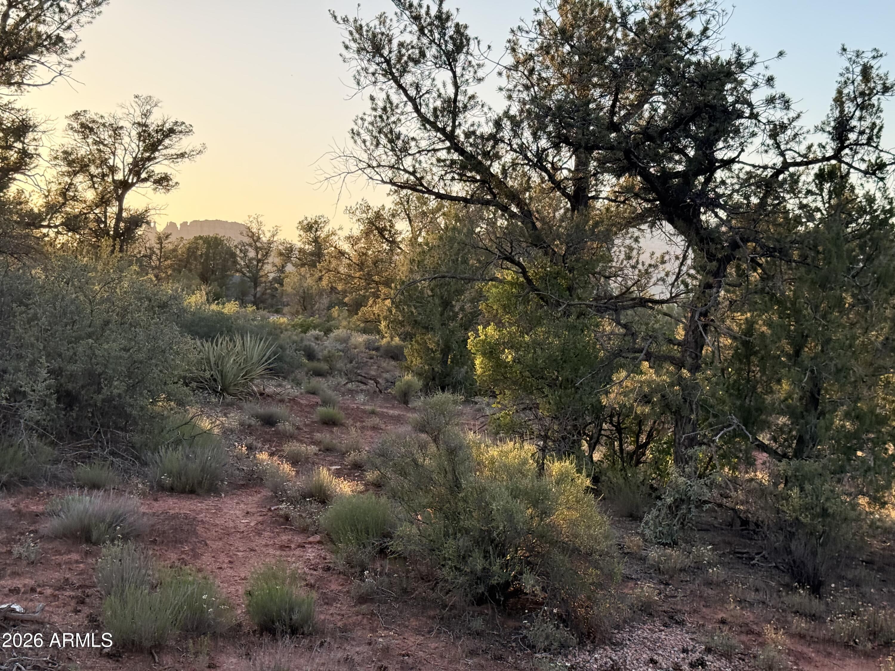 169 BRISTLECONE PINES Road 5