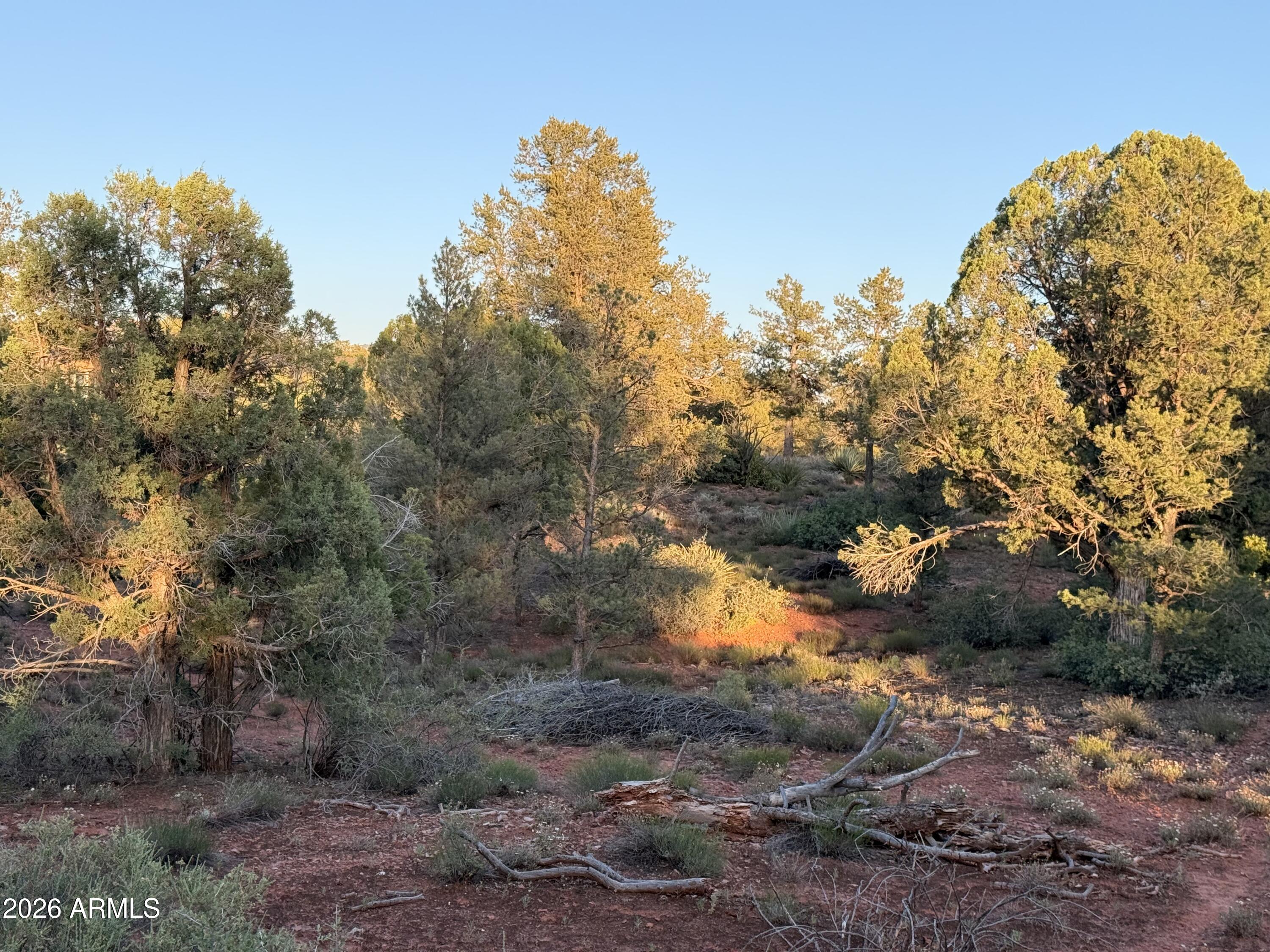 169 BRISTLECONE PINES Road 5