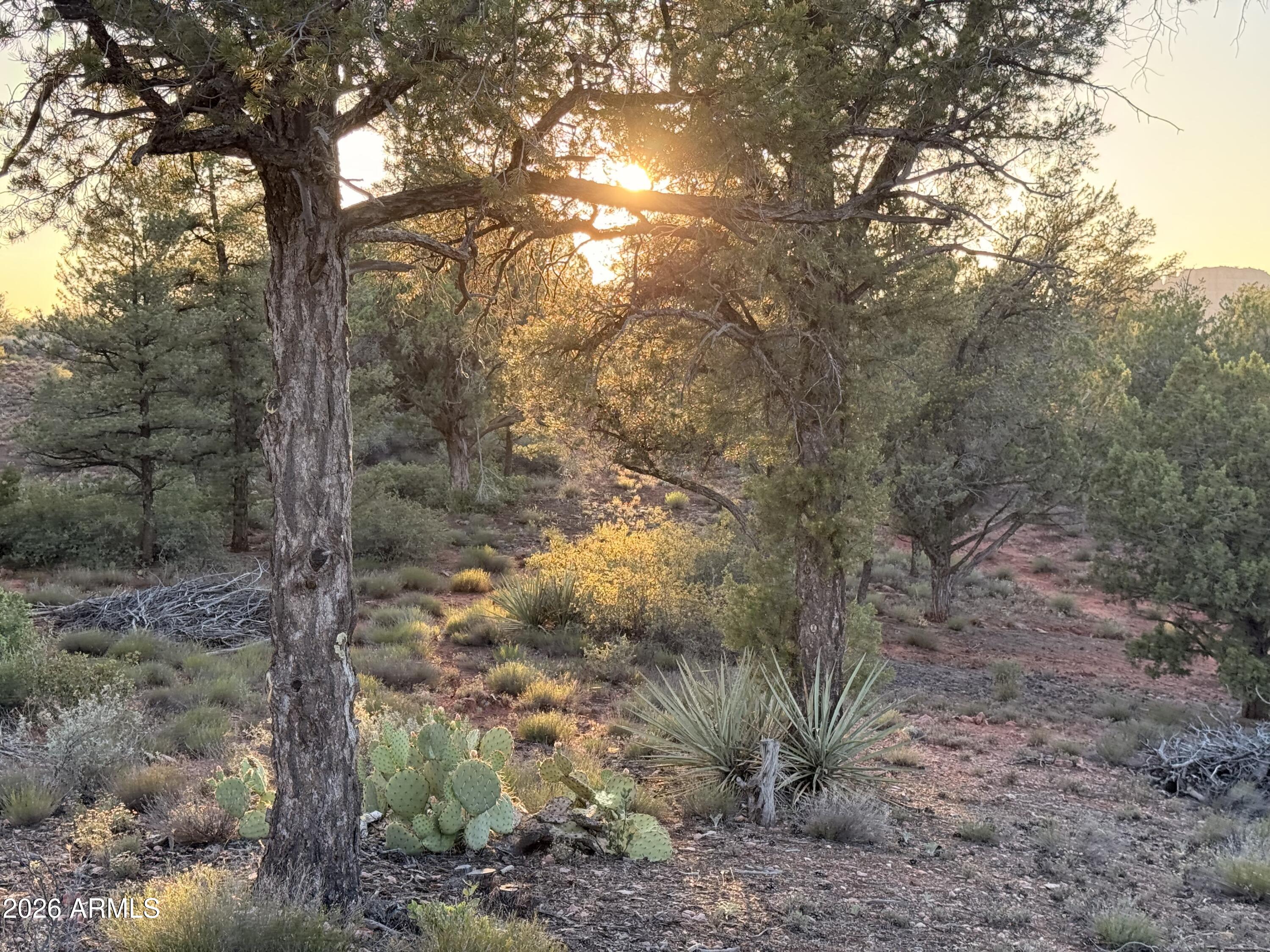 169 BRISTLECONE PINES Road 5