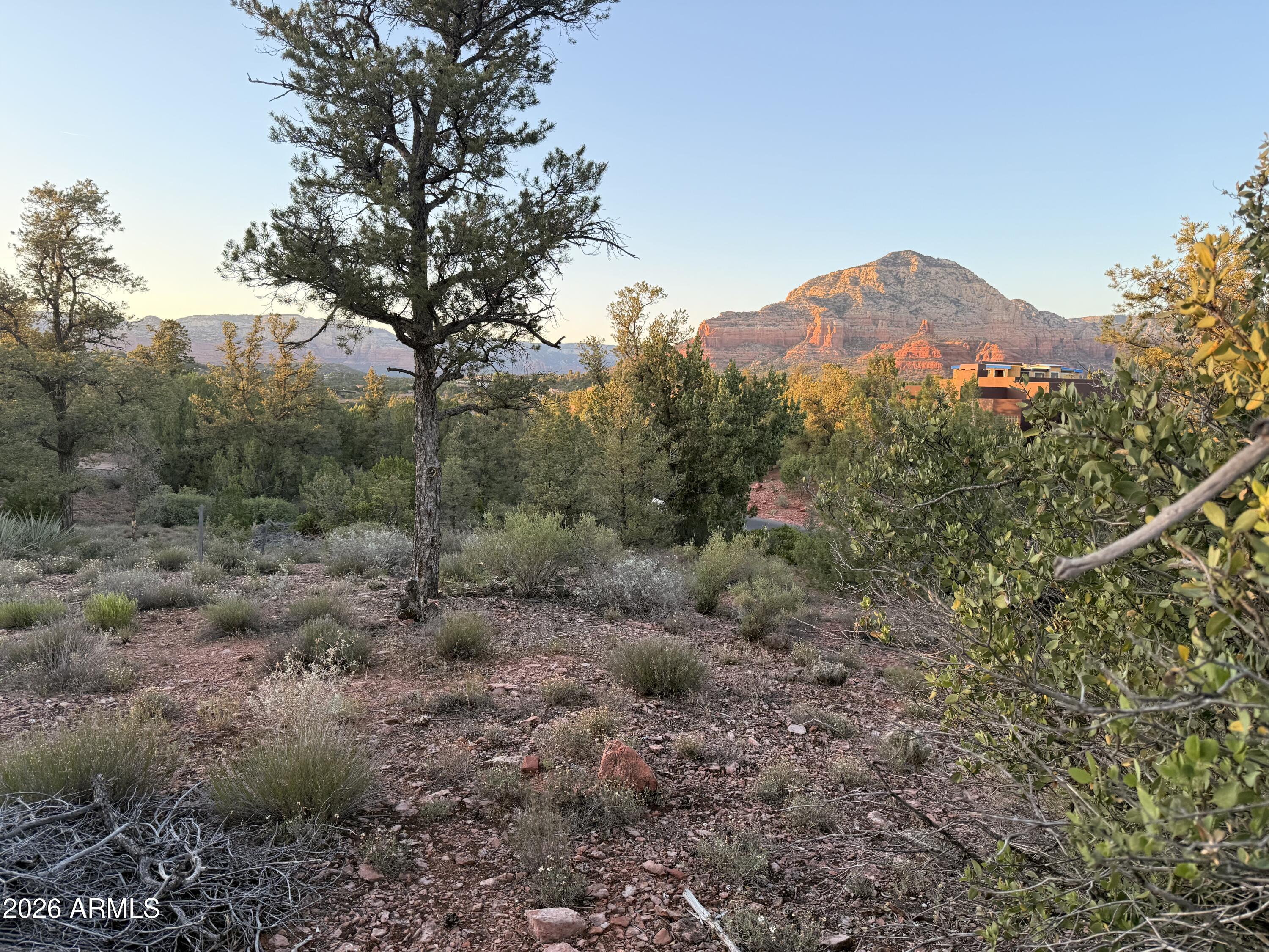 169 BRISTLECONE PINES Road 5