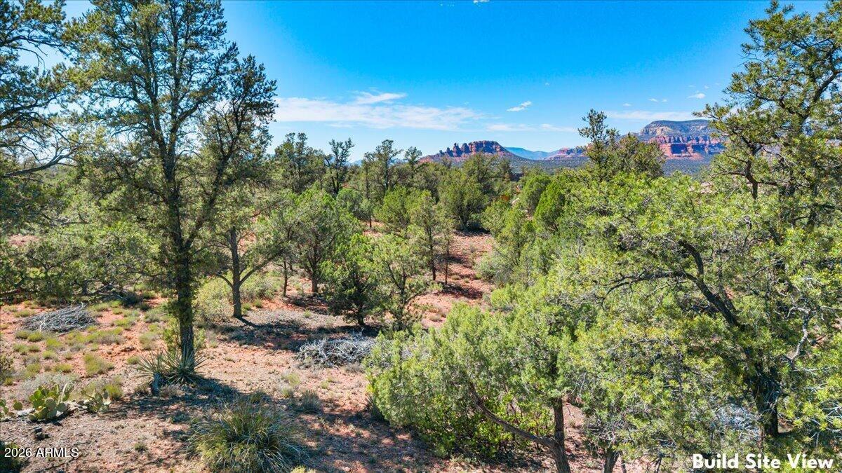 169 BRISTLECONE PINES Road 5