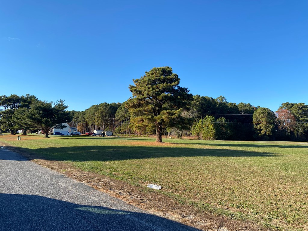 81-82 Skipjack Drive