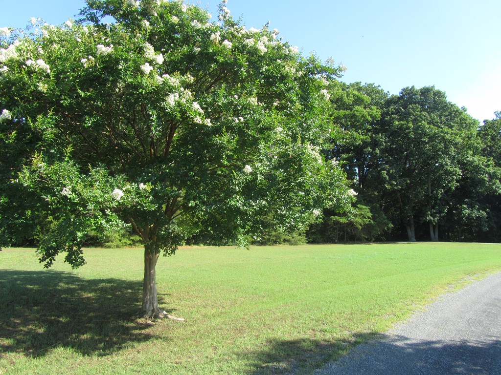 0 Belle Aire Drive
