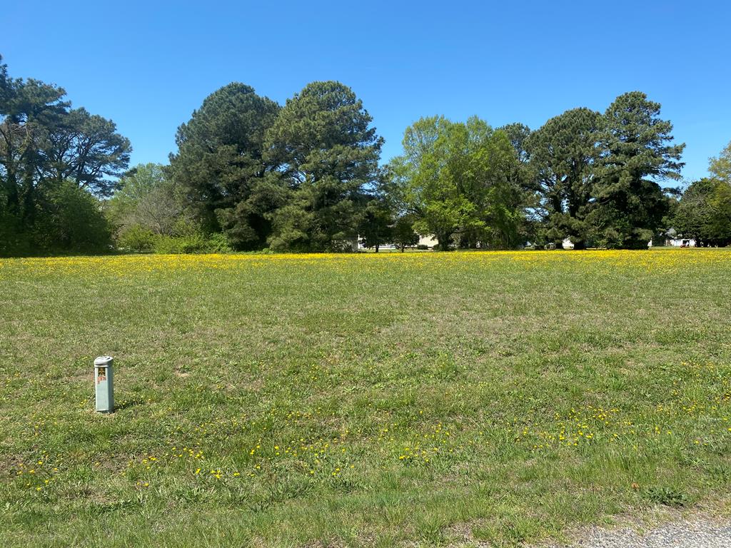Lot 31 Crowsnest Court