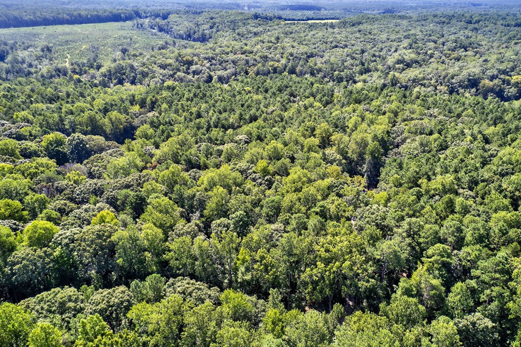 TBD Knights Landing Drive