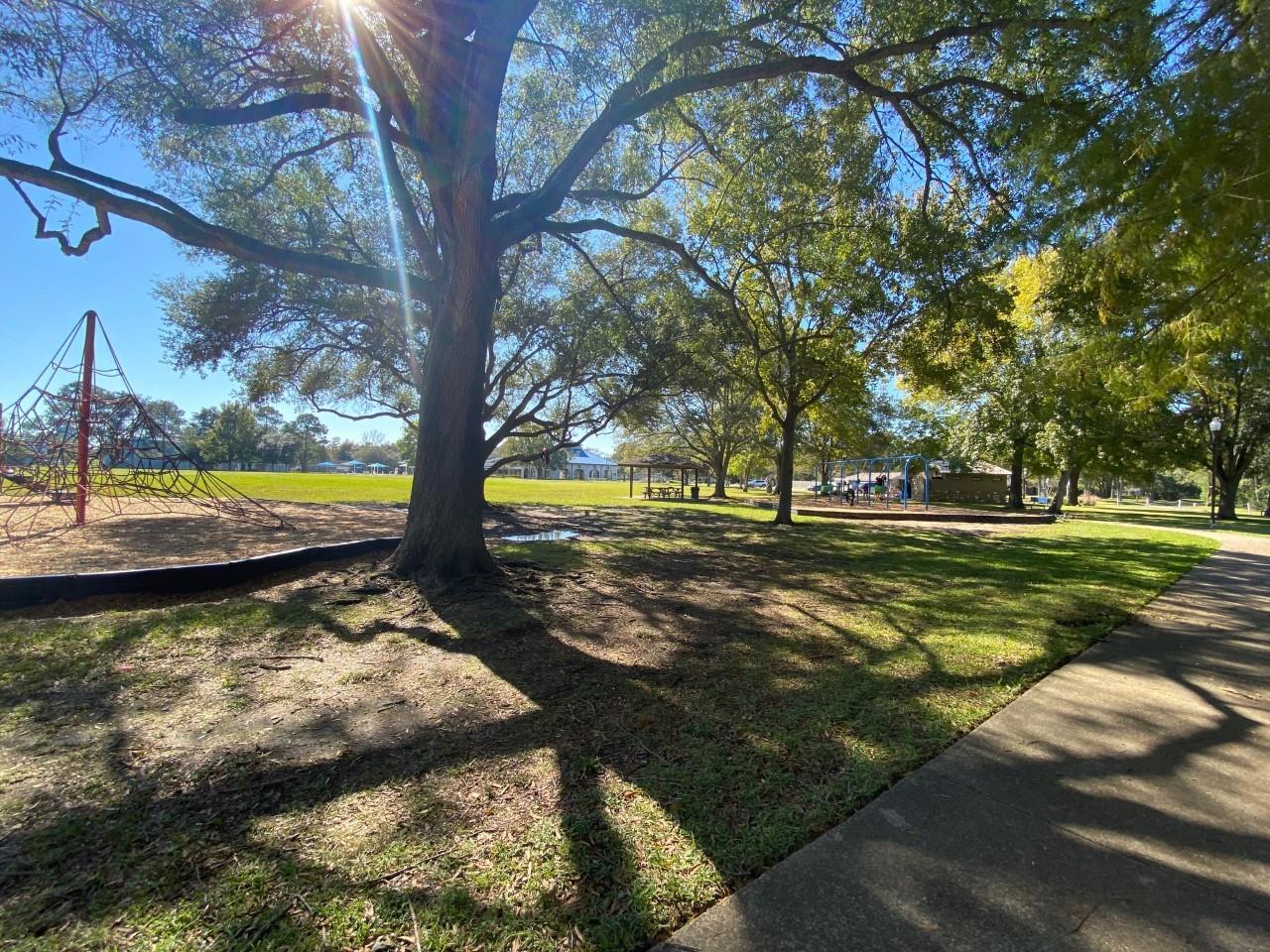 431 Terrace Drive