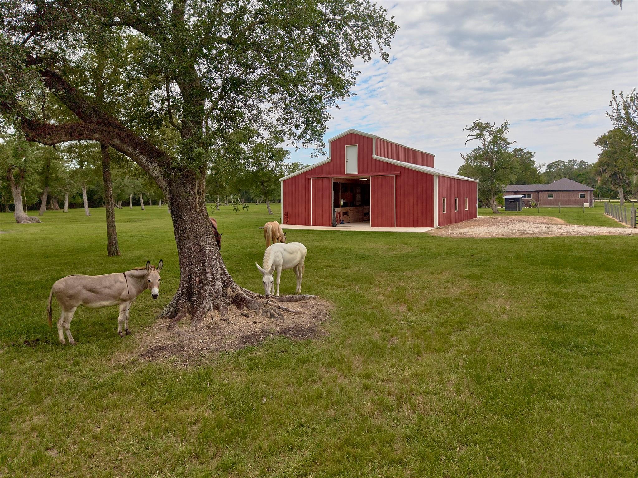 4797 County Road 571a