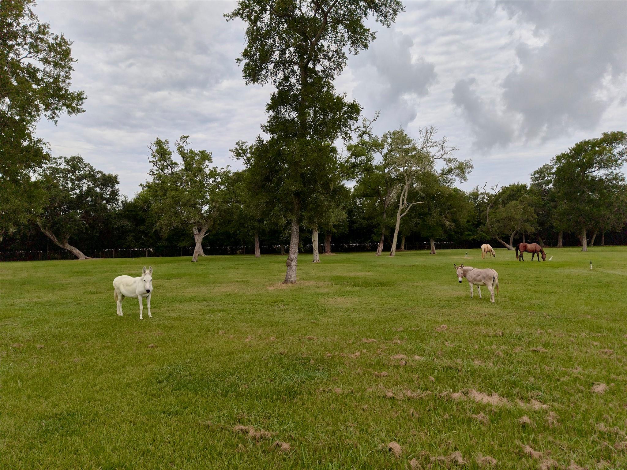 4797 County Road 571a