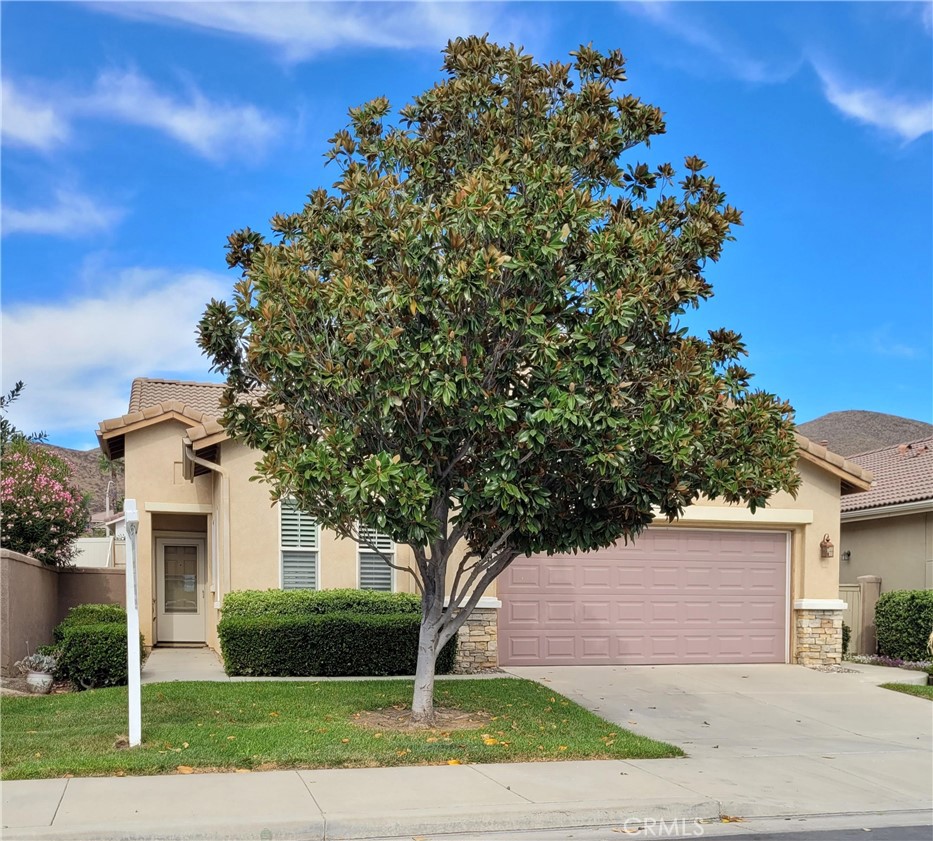 28224 Meadowsweet Drive