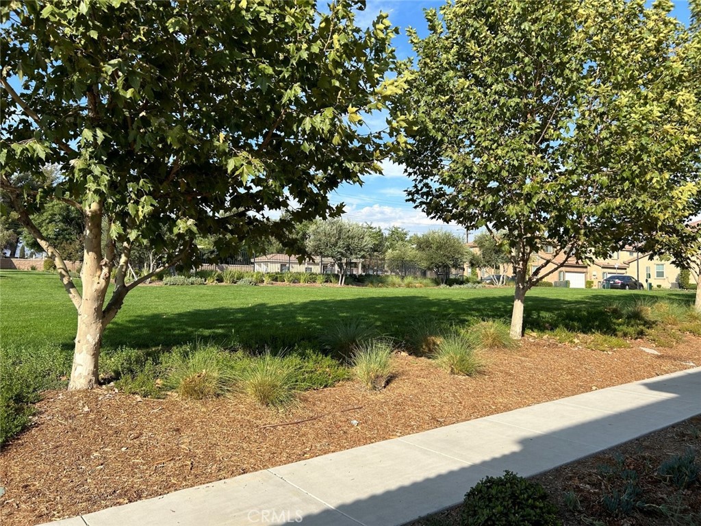 2134 Lavender Lane