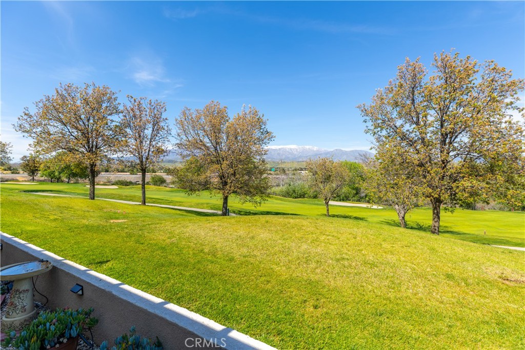 482 Brooklawn Drive