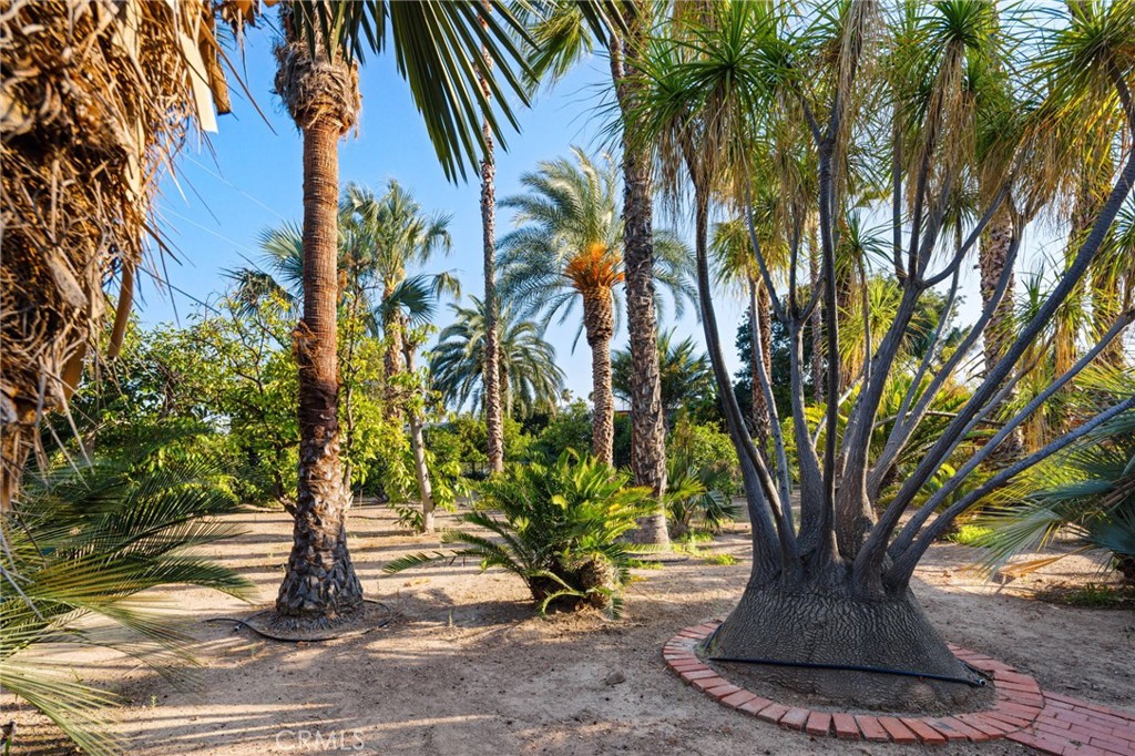 880 Encanto Street
