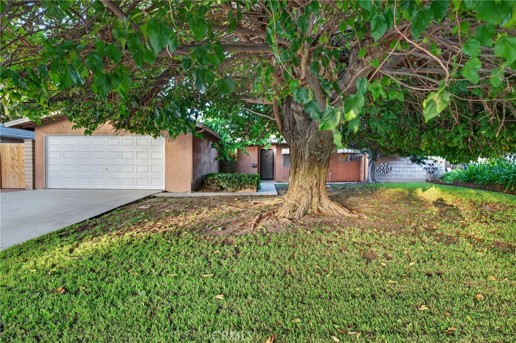 3261 Wallingham Drive