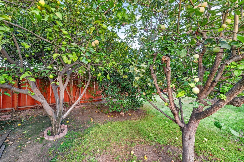 3261 Wallingham Drive