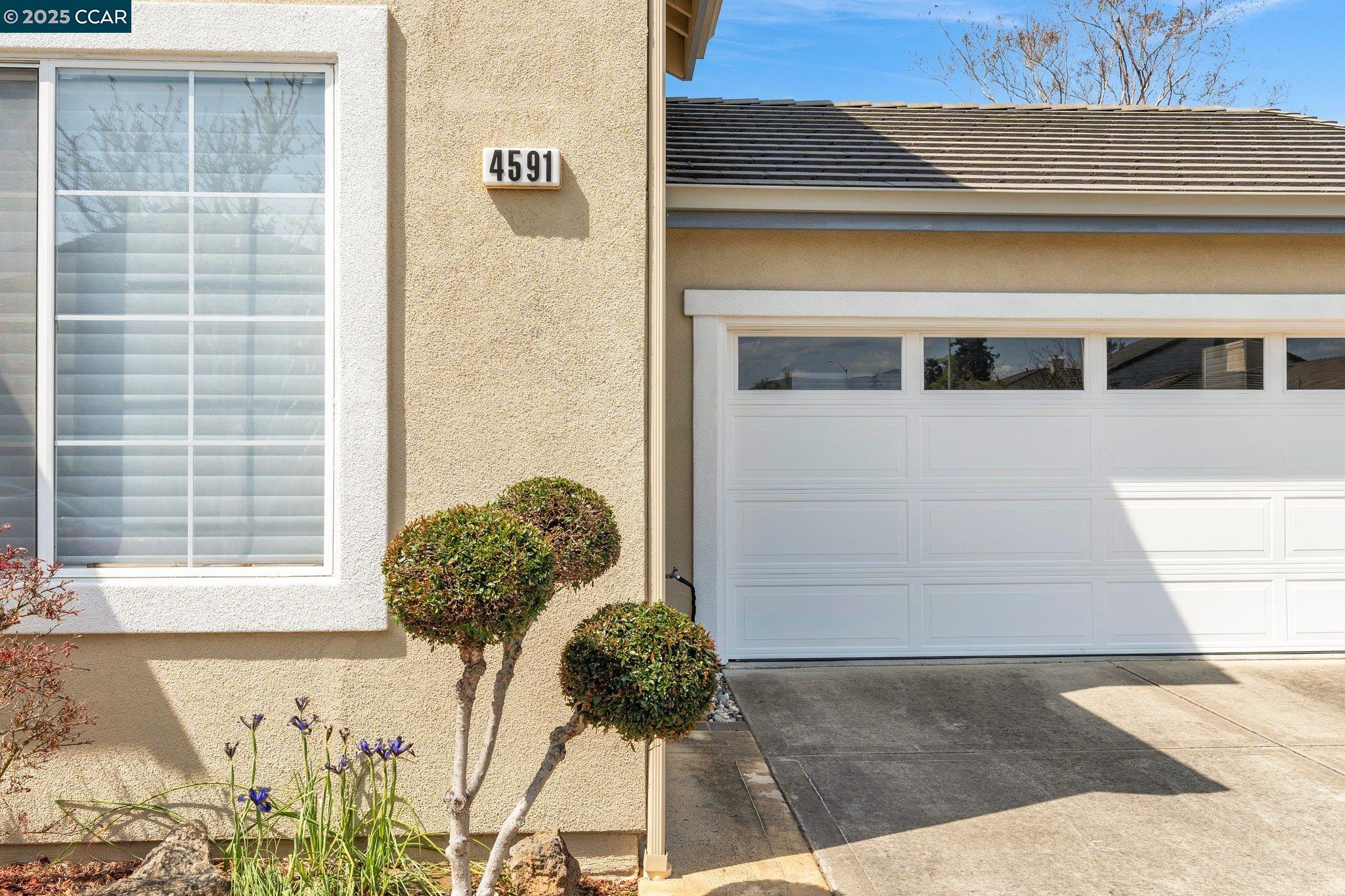 4591 Meyer Park Cir
